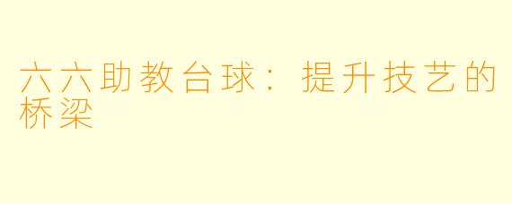 六六助教台球：提升技艺的桥梁