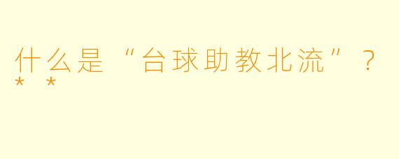 什么是“台球助教北流”？**