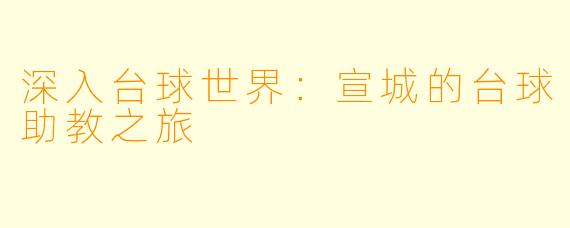 深入台球世界：宣城的台球助教之旅