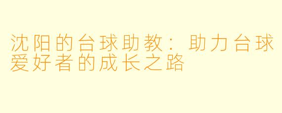 沈阳的台球助教：助力台球爱好者的成长之路