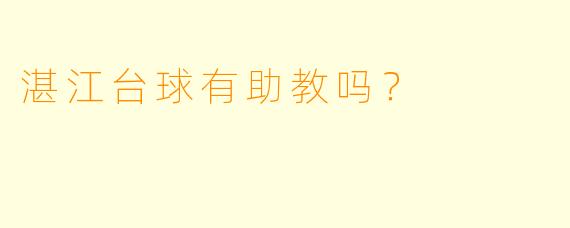 湛江台球有助教吗？