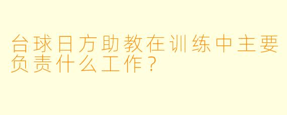 台球日方助教在训练中主要负责什么工作？