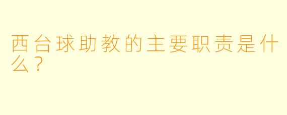 西台球助教的主要职责是什么？