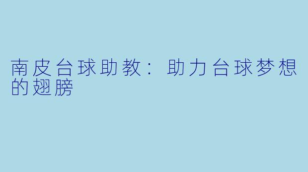 南皮台球助教：助力台球梦想的翅膀
