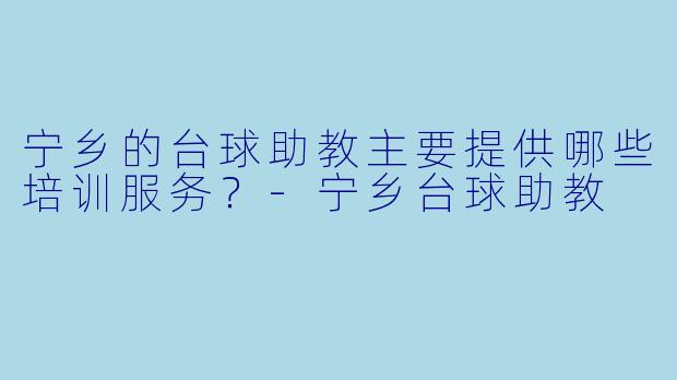 宁乡的台球助教主要提供哪些培训服务？