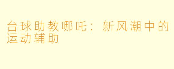 台球助教哪吒：新风潮中的运动辅助