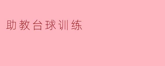 助教台球训练