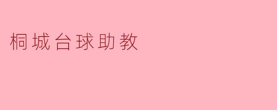 桐城台球助教提供哪些服务来帮助初学者提升台球技能？****