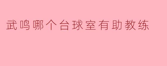 ### 武鸣台球室推荐:助教练助你提升技艺