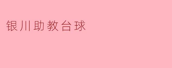 银川助教台球