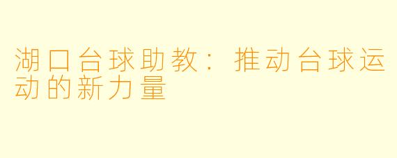 湖口台球助教：推动台球运动的新力量