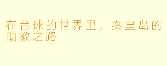 在台球的世界里，秦皇岛的助教之路