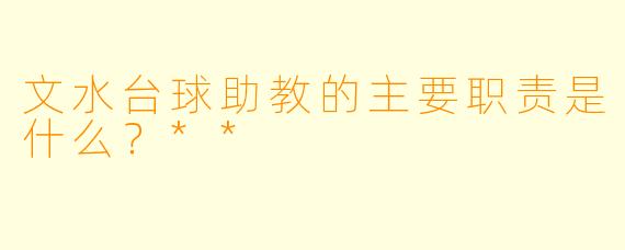 文水台球助教的主要职责是什么？**