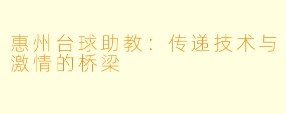 惠州台球助教：传递技术与激情的桥梁