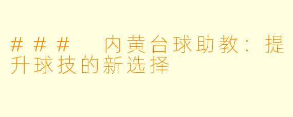 ### 内黄台球助教：提升球技的新选择