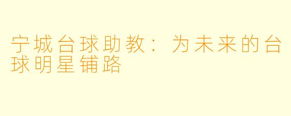 宁城台球助教:为未来的台球明星铺路