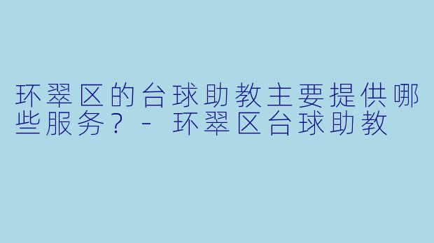 环翠区的台球助教主要提供哪些服务？