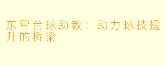 东营台球助教:助力球技提升的桥梁