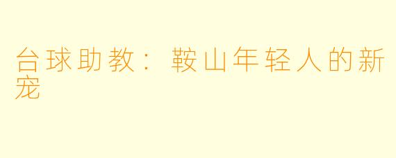 台球助教：鞍山年轻人的新宠