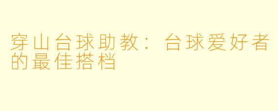 穿山台球助教：台球爱好者的最佳搭档