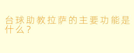 台球助教拉萨的主要功能是什么？