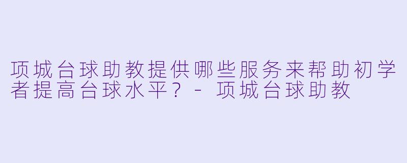 项城台球助教提供哪些服务来帮助初学者提高台球水平?