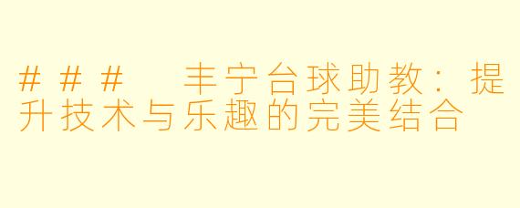 ### 丰宁台球助教:提升技术与乐趣的完美结合
