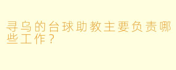 寻乌的台球助教主要负责哪些工作？