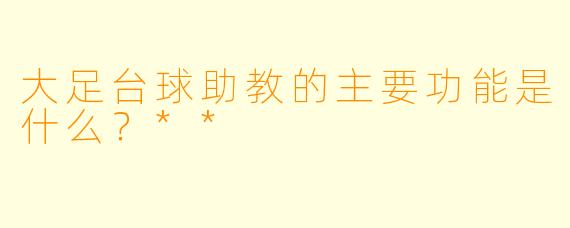 大足台球助教的主要功能是什么？**