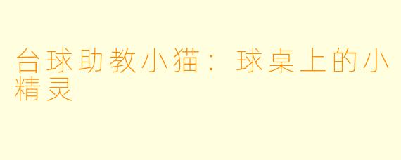 台球助教小猫:球桌上的小精灵