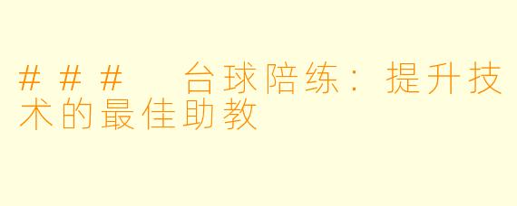 ### 台球陪练:提升技术的最佳助教