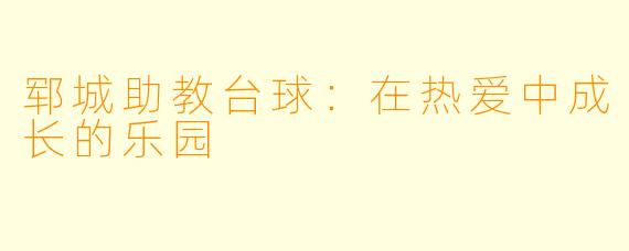 郓城助教台球：在热爱中成长的乐园