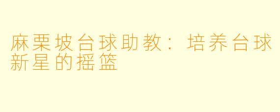 麻栗坡台球助教：培养台球新星的摇篮