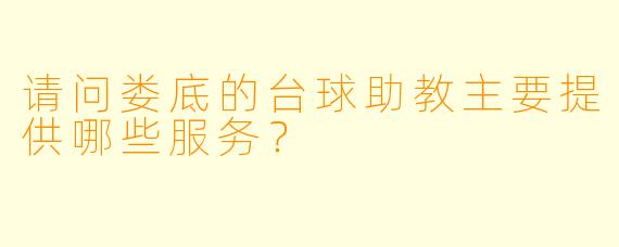 请问娄底的台球助教主要提供哪些服务？