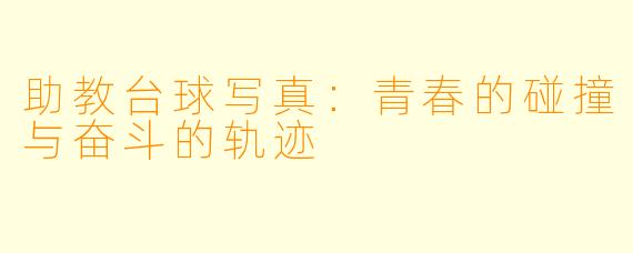助教台球写真：青春的碰撞与奋斗的轨迹