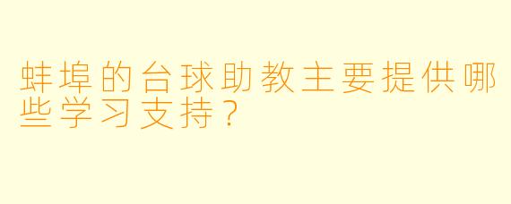 蚌埠的台球助教主要提供哪些学习支持？  