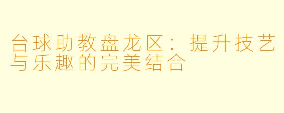 台球助教盘龙区：提升技艺与乐趣的完美结合