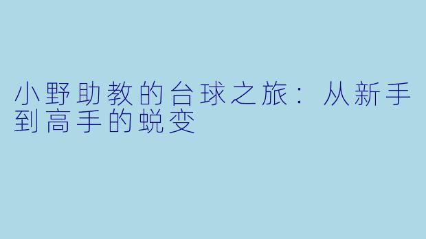 小野助教的台球之旅：从新手到高手的蜕变