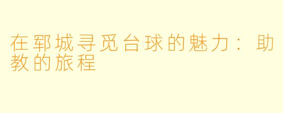 在郓城寻觅台球的魅力：助教的旅程