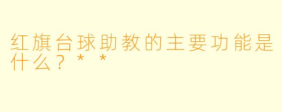 红旗台球助教的主要功能是什么？**