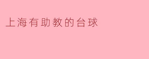 上海有助教的台球