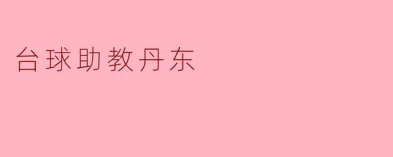 台球助教丹东的主要功能是什么？  
