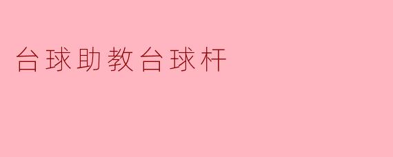 台球助教台球杆
