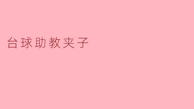 台球助教夹子