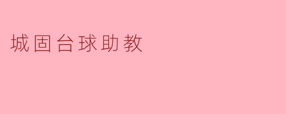 城固台球助教