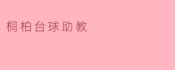 桐柏台球助教