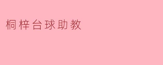 桐梓台球助教