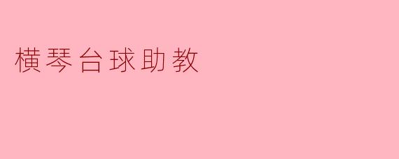 横琴台球助教的主要功能是什么？**  **