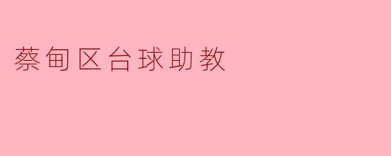 蔡甸区台球助教:提升水平的理想伙伴