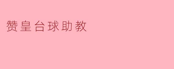 赞皇台球助教